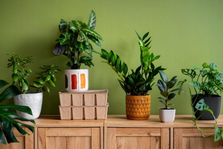 Home Decor Ideas with Artificial Leaves