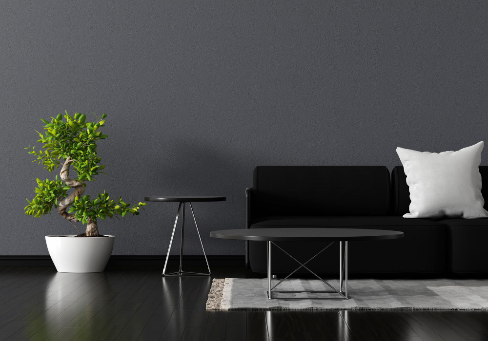 Home Decor Ideas with Dark Floors