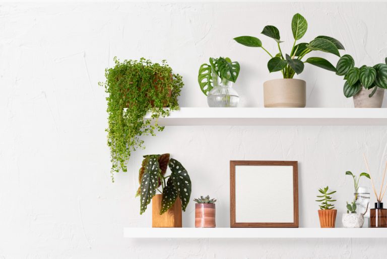 Home Decor Ideas With Greenery