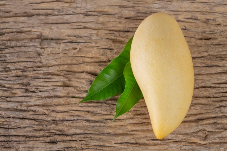 Home Decor Ideas With Mango Leaves