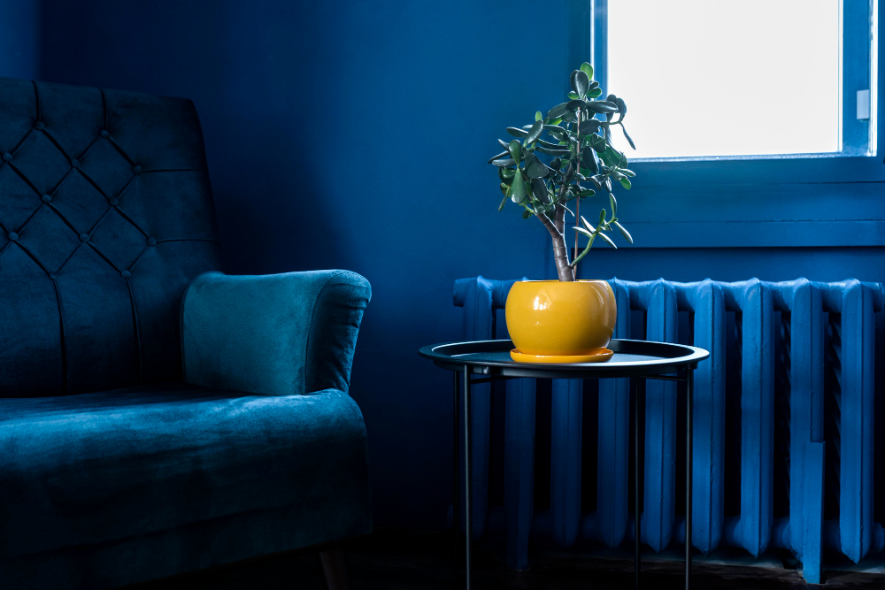 Home Decor Ideas with Navy Blue