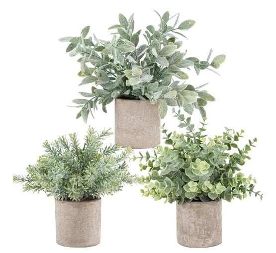 Small plants