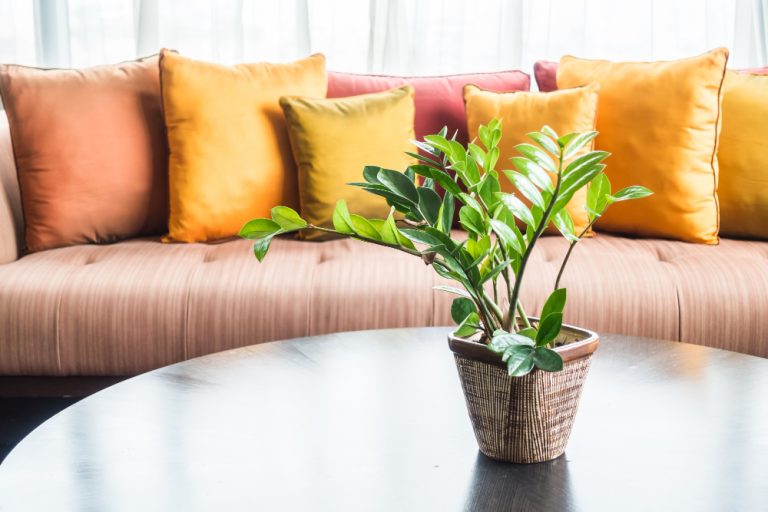 Home Decor Ideas With Tree