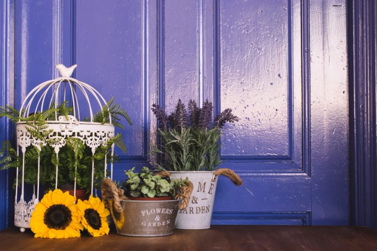 Home Decor Ideas With Vibrant Colors