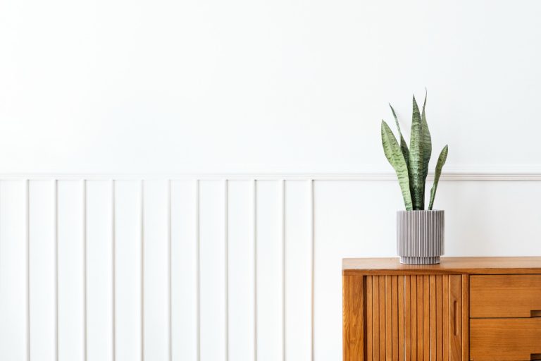 Home Decor Ideas With White Walls