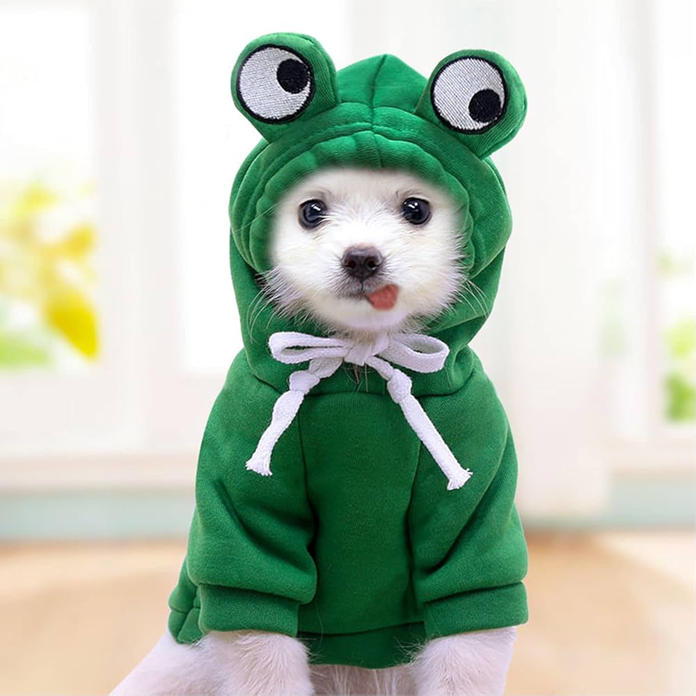 Dog Hoodie