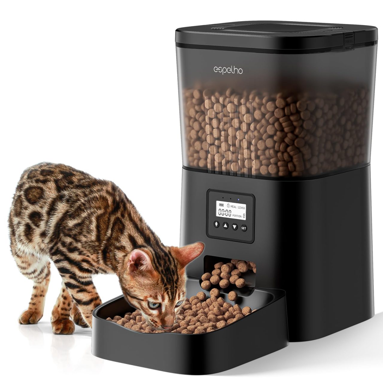 Automatic Feeder For Cats