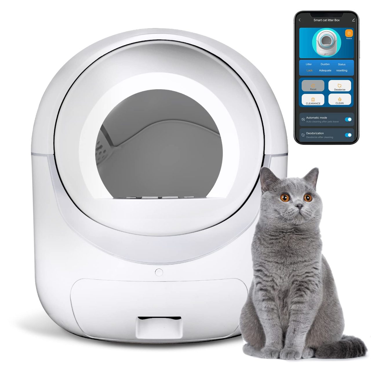Automatic Litter Box