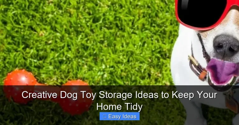 Creative Dog Toy Storage Ideas to Keep Your Home Tidy
