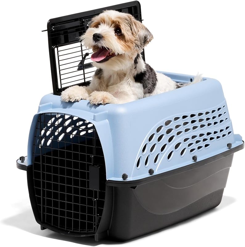 Two-Door Plastic Pet Kennel for Small Dogs and Cats, 24-Inch, Blue, Ma