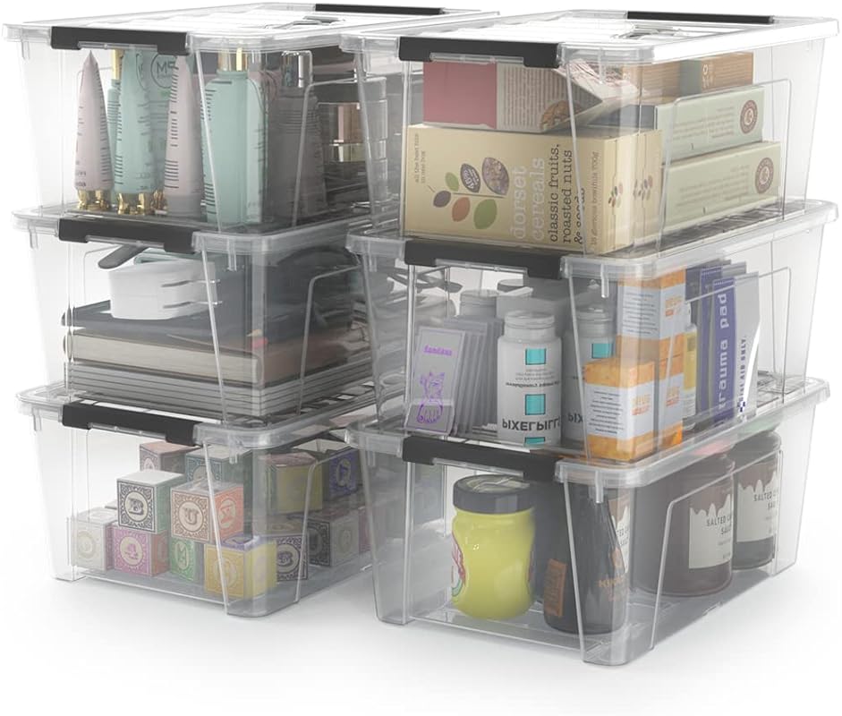 WYT Clear Storage Latch Bins, 6-Pack Storage Organizer Box with Handle