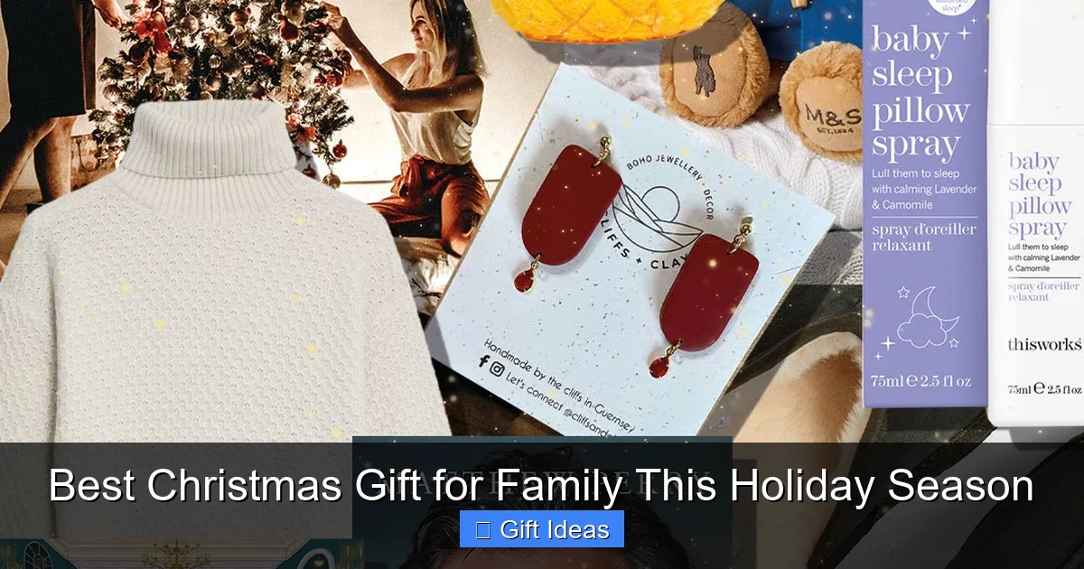 Best Christmas Gift for Family This Holiday Season