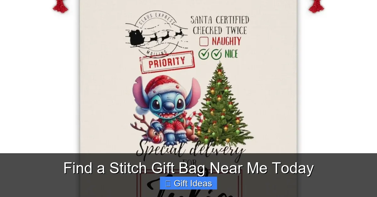 Find a Stitch Gift Bag Near Me Today