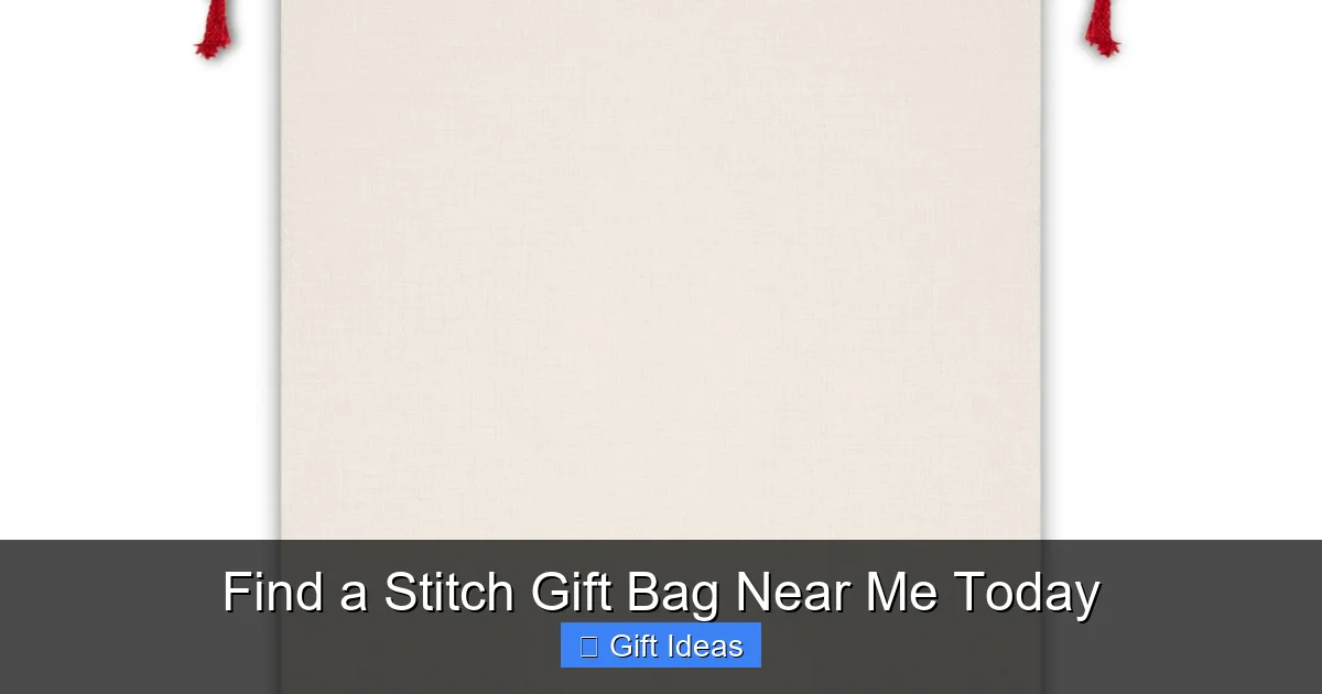 Find a Stitch Gift Bag Near Me Today