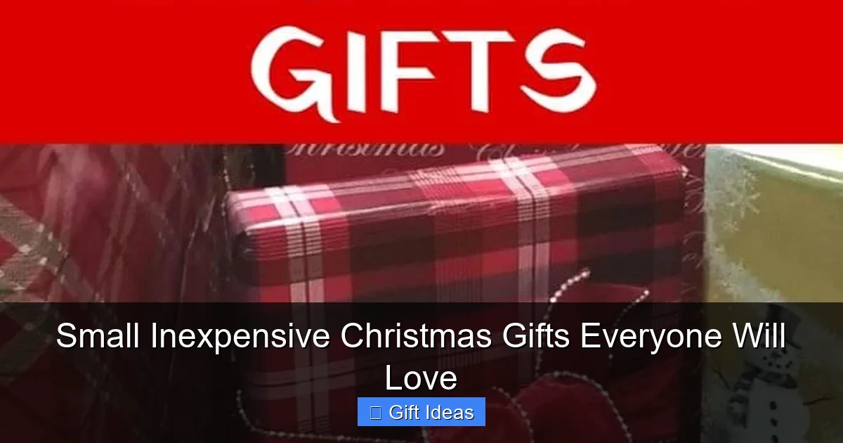 Small Inexpensive Christmas Gifts Everyone Will Love