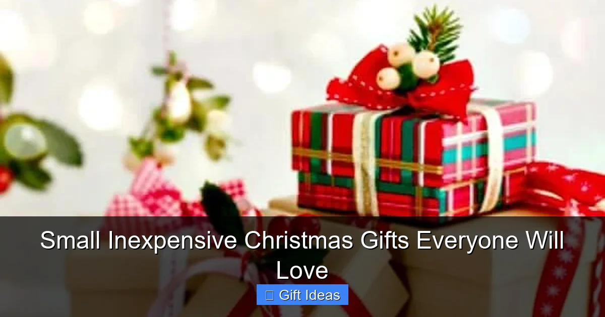 Small Inexpensive Christmas Gifts Everyone Will Love