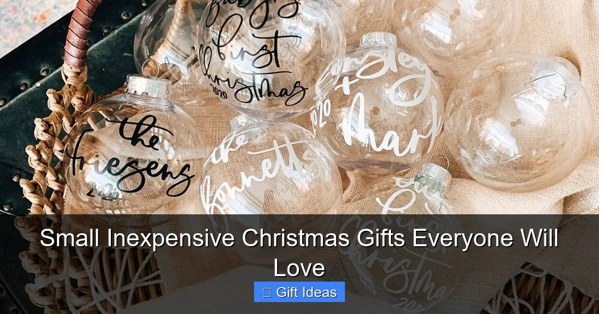 Small Inexpensive Christmas Gifts Everyone Will Love