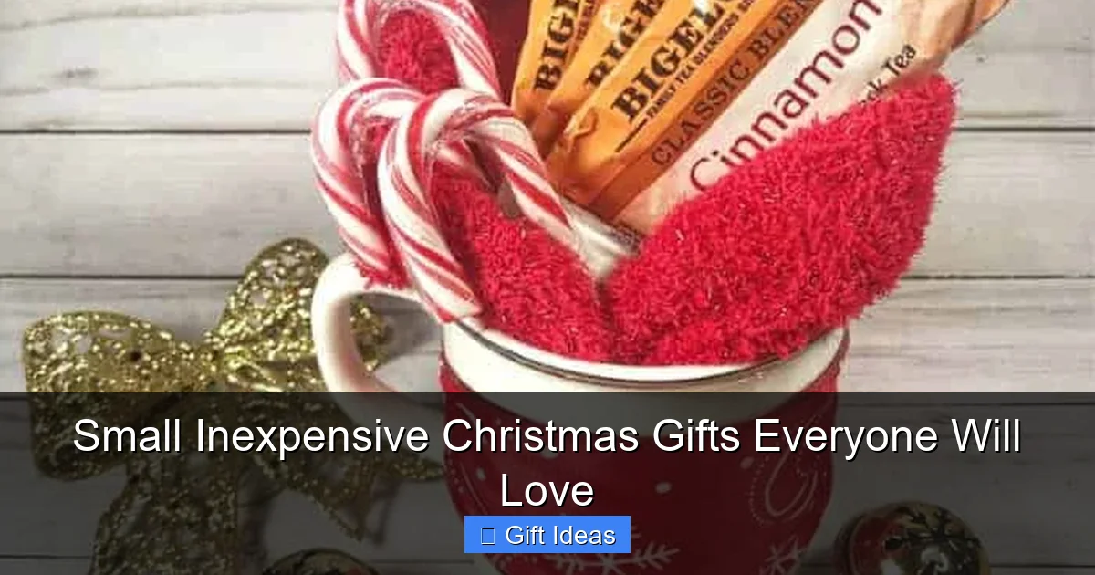 Small Inexpensive Christmas Gifts Everyone Will Love